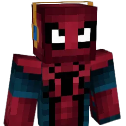 ssw0313 Minecraft avatar bust