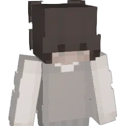 st2rter Minecraft avatar bust