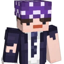 stargazingggg Minecraft avatar bust