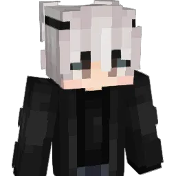 stariinight's Minecraft skin