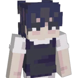 starrydipper
