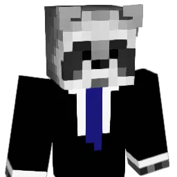static11 Minecraft avatar bust