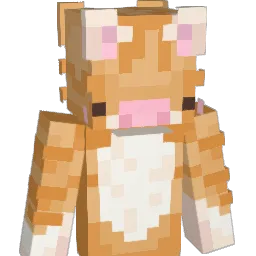 stbz502 Minecraft avatar bust