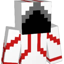 stealthninja655 Minecraft avatar bust
