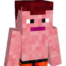 stebb0