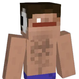 stee_vo Minecraft avatar bust