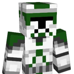 stef1gamer Minecraft avatar bust