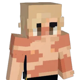 stellaexpo Minecraft avatar bust