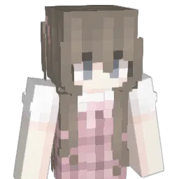 stelsi