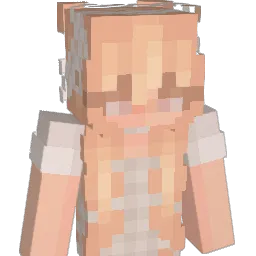 steqhr's Minecraft skin