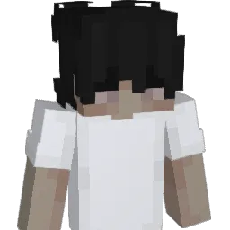steuerheini Minecraft avatar bust