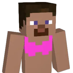 steve6145 Minecraft avatar bust