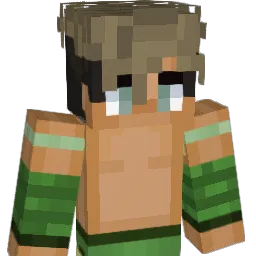 steviewonder33's Minecraft skin