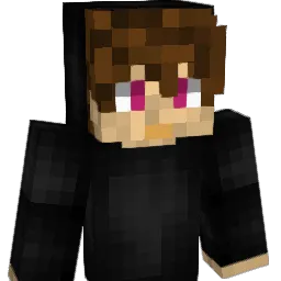 stif2008 Minecraft avatar bust