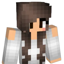 stingyheadshot99 Minecraft avatar bust