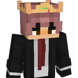 stink_buggy Minecraft avatar bust