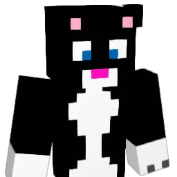 stinkycat123 Minecraft avatar bust