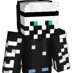 stmx27 Minecraft avatar bust
