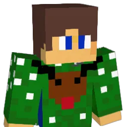 stonie1000 Minecraft avatar bust