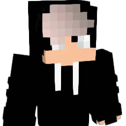 stormageddon69 Minecraft avatar bust