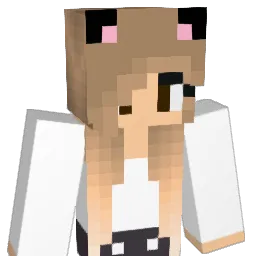 stornila2 Minecraft avatar bust