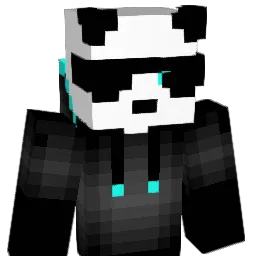 str8_awesome Minecraft avatar bust