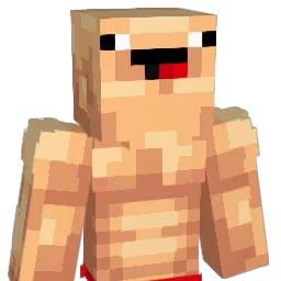 straalman21 Minecraft avatar bust