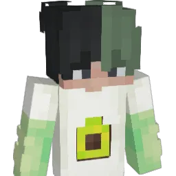 straet900 Minecraft avatar bust