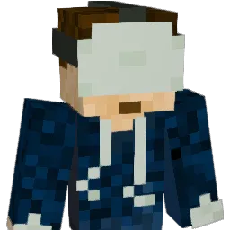 strider201 Minecraft avatar bust