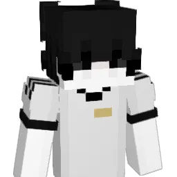 strov3__ Minecraft avatar bust