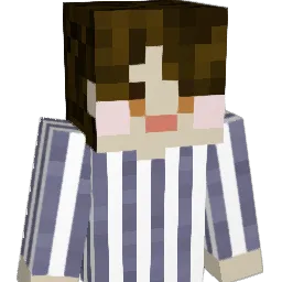 subinnl Minecraft avatar bust