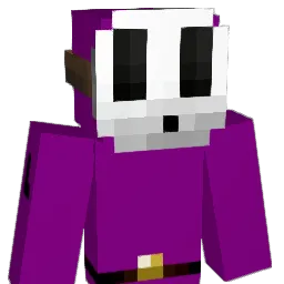 subject Minecraft avatar bust