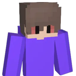 subw3y Minecraft avatar bust