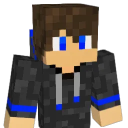 subway5411 Minecraft avatar bust
