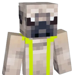 succbutt's Minecraft skin