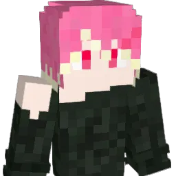 sui_1113