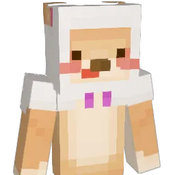 suip_'s Minecraft skin