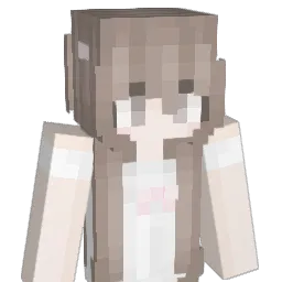 suivie Minecraft avatar bust