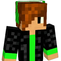 sulli29410 Minecraft avatar bust