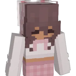 summervibes7294 Minecraft avatar bust