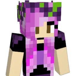 sumthinsensible Minecraft avatar bust