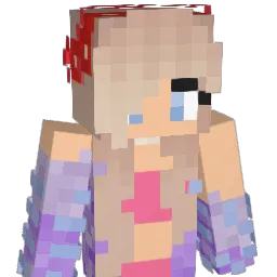sunny798 Minecraft avatar bust