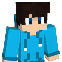 sunny91 Minecraft avatar bust