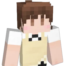 sunnyside55 Minecraft avatar bust