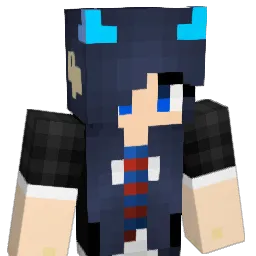 sunshine1961 Minecraft avatar bust