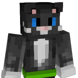 sunshyyx Minecraft avatar bust