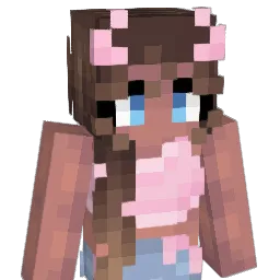 suntae1 Minecraft avatar bust