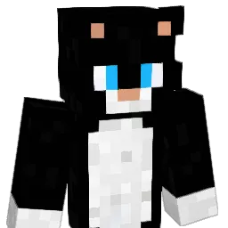 supererez10 Minecraft avatar bust