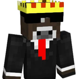 superkoetjee's Minecraft skin