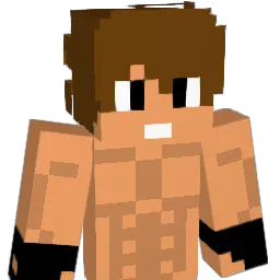 supermagic100 Minecraft avatar bust